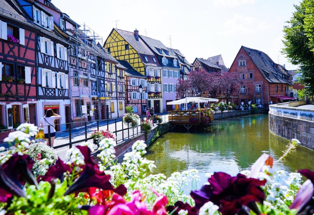 "Les Gites Cote Blind" Tout Confort Proche Colmar Bischwihr Exterior photo