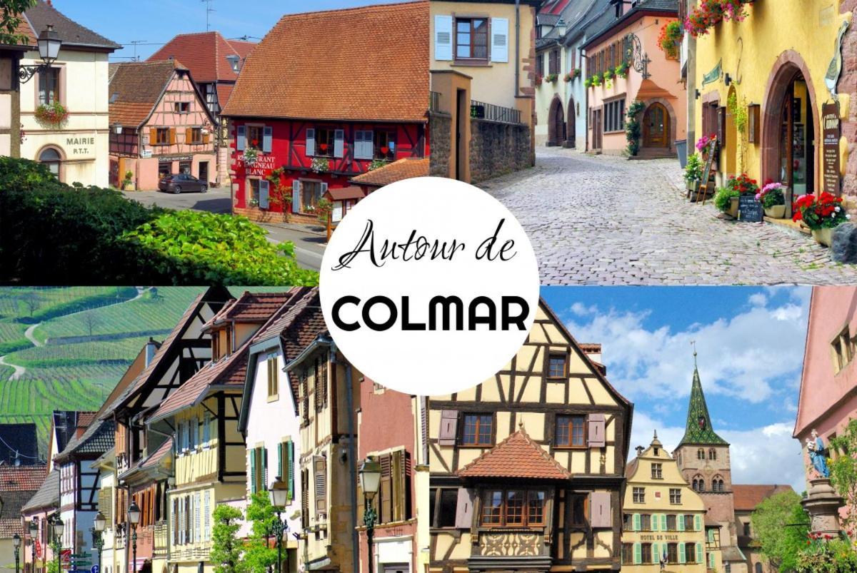 "Les Gites Cote Blind" Tout Confort Proche Colmar Bischwihr Exterior photo