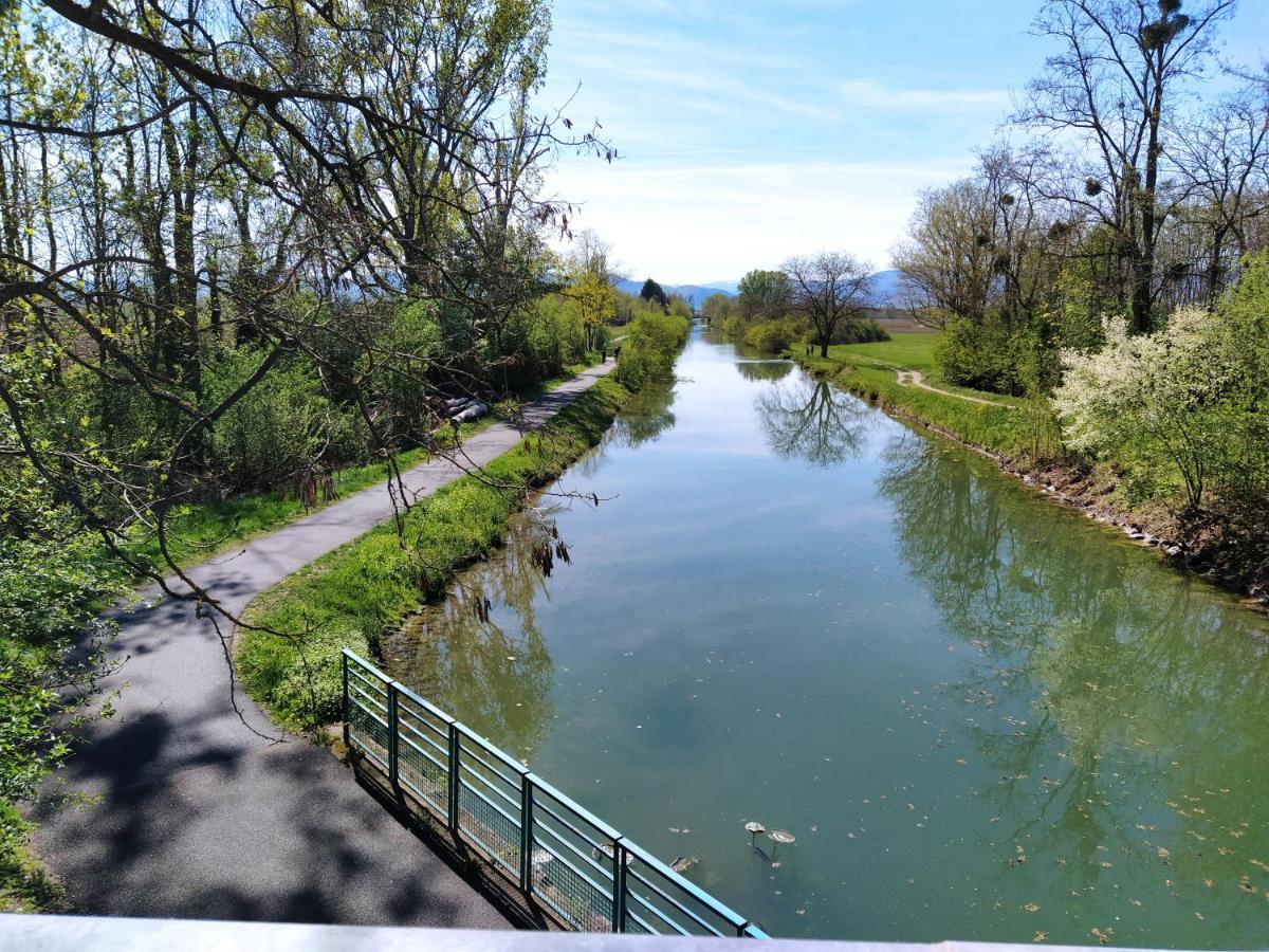 "Les Gites Cote Blind" Tout Confort Proche Colmar Bischwihr Exterior photo