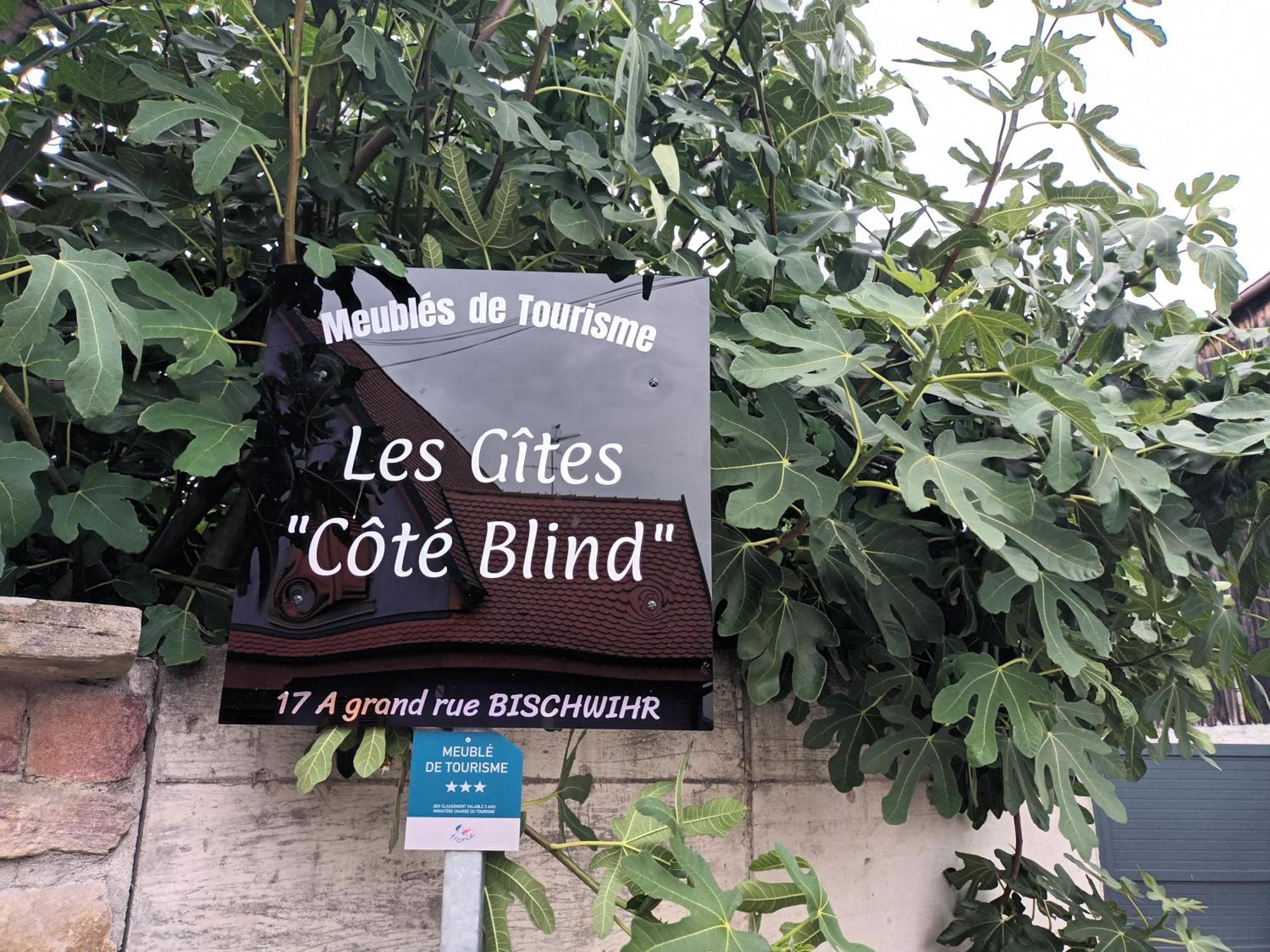 "Les Gites Cote Blind" Tout Confort Proche Colmar Bischwihr Exterior photo